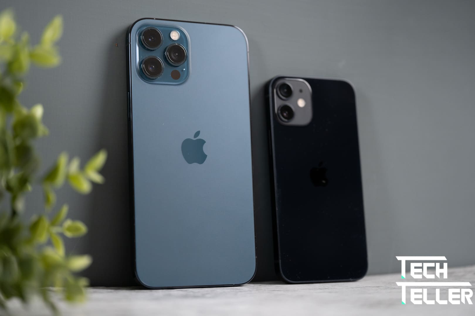 新iPhone選擇障礙?旗艦、CP值大亂鬥||iPhone 12 Pro Max、iPhone 12 mini規格比較與選擇建議