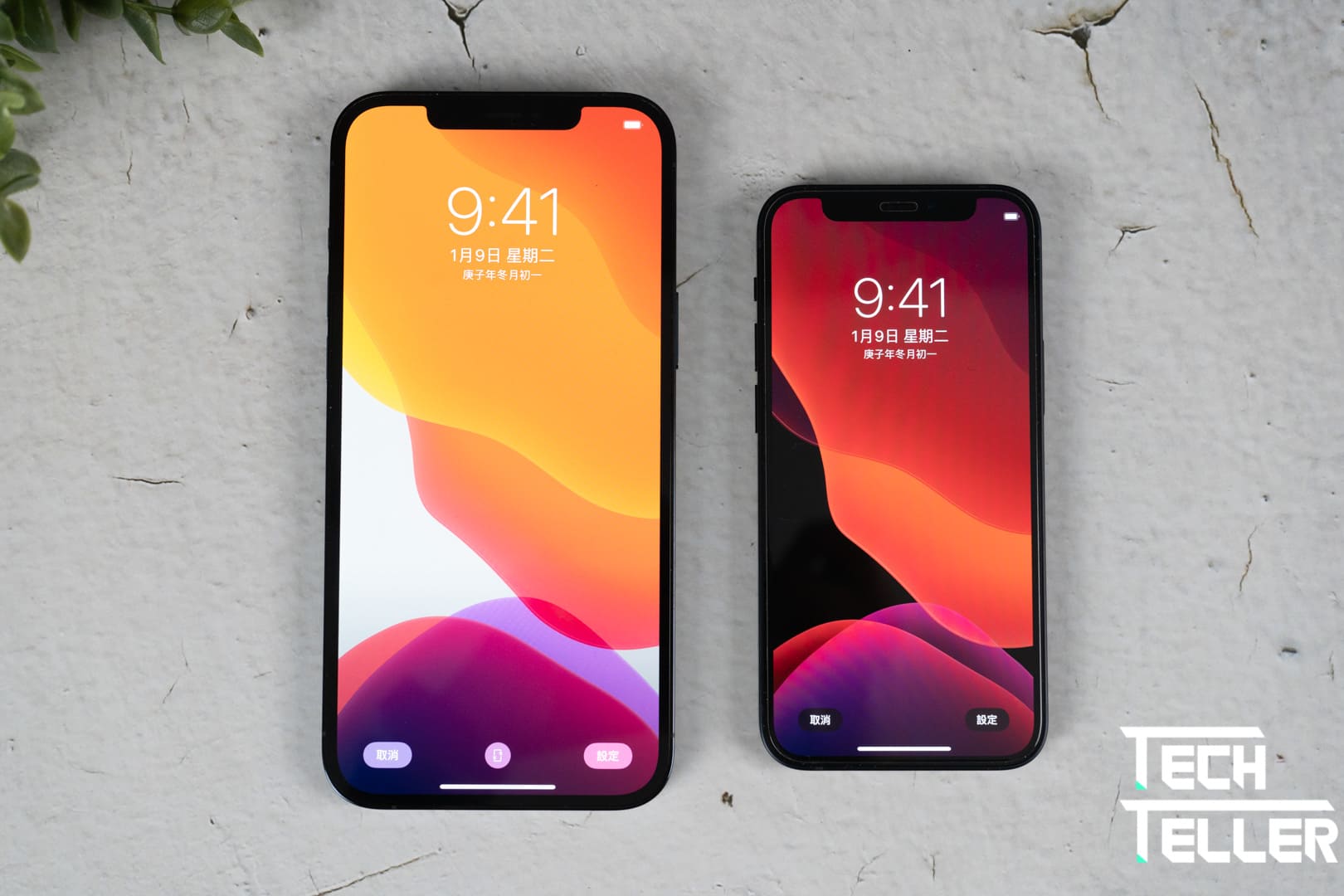 新iPhone選擇障礙?旗艦、CP值大亂鬥||iPhone 12 Pro Max、iPhone 12 mini規格比較與選擇建議