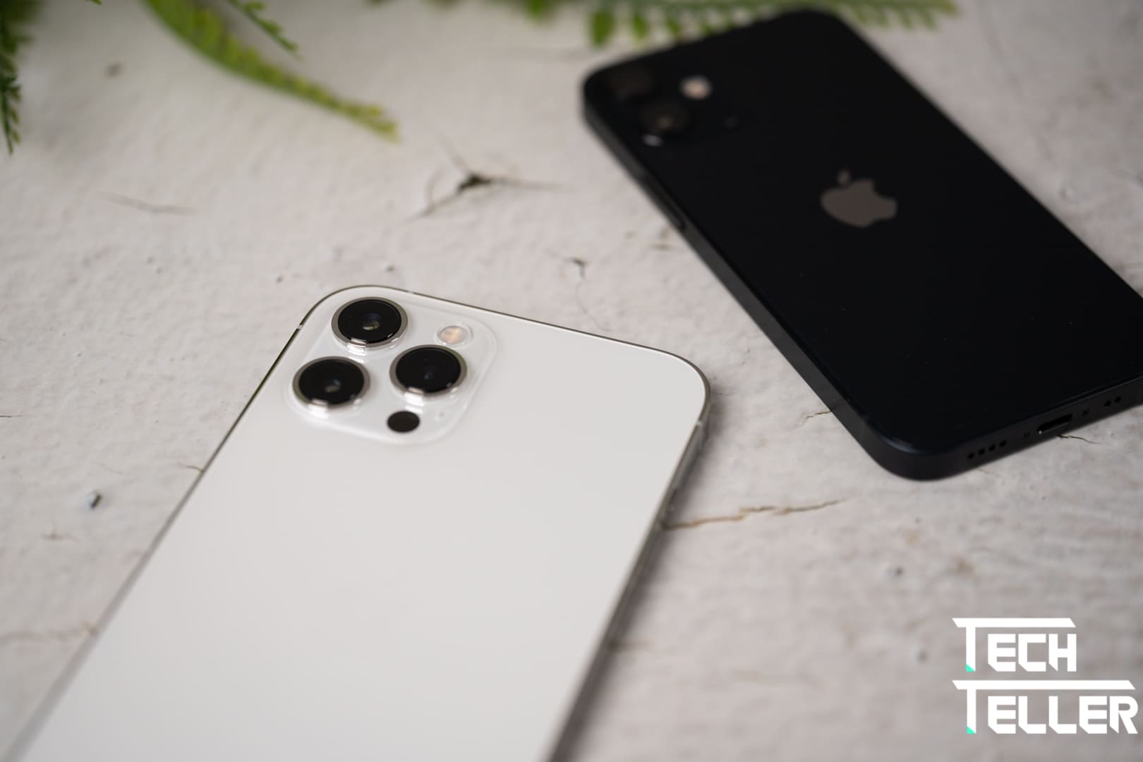 新iPhone選擇障礙?旗艦、CP值大亂鬥||iPhone 12 Pro Max、iPhone 12 mini規格比較與選擇建議